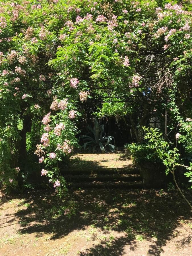 La Gallina Felice B&B Мета Екстериор снимка