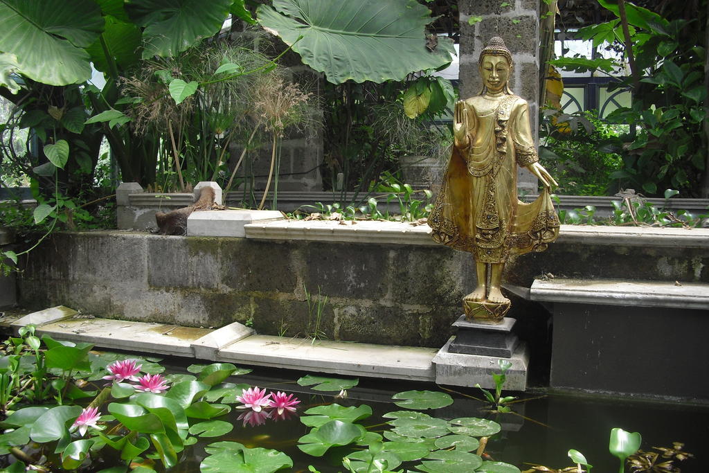 La Gallina Felice B&B Мета Екстериор снимка